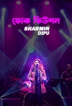 Folk Fusion